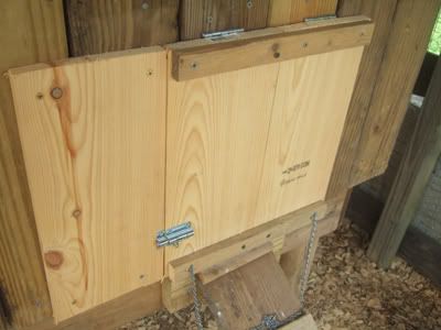 GardenDesk: Update on our Chickens and the Coop