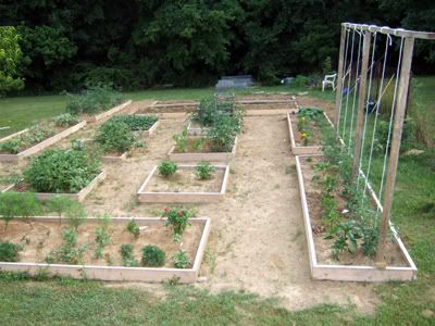 Vegetable Garden Trellis Designs on Gardendesk  A Big Change In Garden Plans