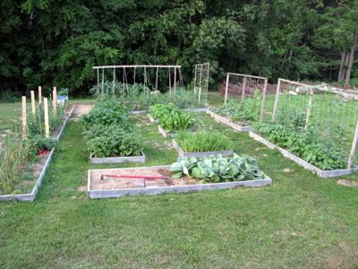 Raised Vegetable Garden Beds