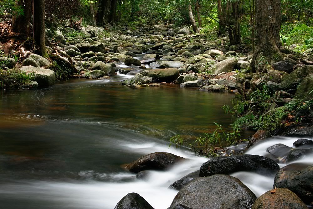 IMAGE: http://i55.photobucket.com/albums/g156/astro_south/400D/cedar_creek_feb2008/20080217_creek1.jpg