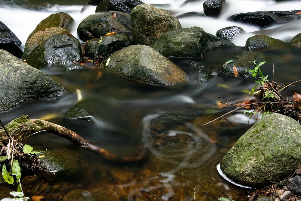 IMAGE: http://i55.photobucket.com/albums/g156/astro_south/400D/cedar_creek_feb2008/20080217_creek4.jpg