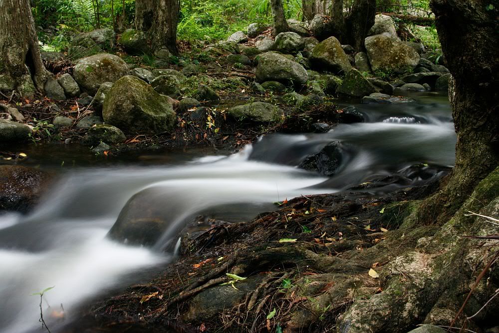 IMAGE: http://i55.photobucket.com/albums/g156/astro_south/400D/cedar_creek_feb2008/20080217_creek5.jpg