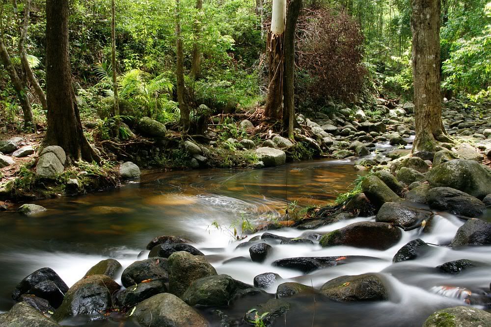 IMAGE: http://i55.photobucket.com/albums/g156/astro_south/400D/cedar_creek_feb2008/20080217_creek8.jpg