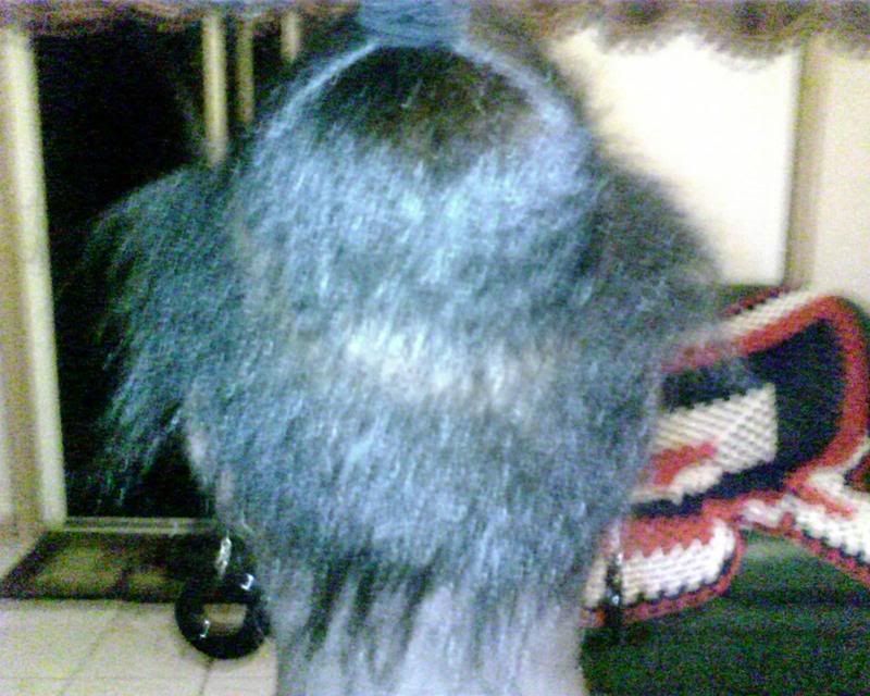 jensjackeduphair004.jpg