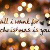 Christmas icon Pictures, Images and Photos