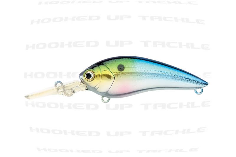 fishing tackle clearance sale