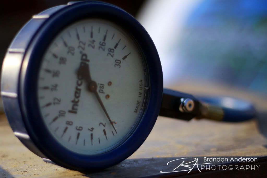 IMAGE: http://i55.photobucket.com/albums/g157/andersonproductions/_MG_0031-27.jpg