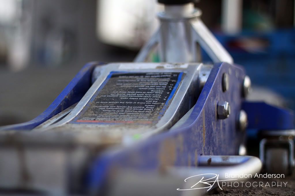 IMAGE: http://i55.photobucket.com/albums/g157/andersonproductions/_MG_0095-35.jpg