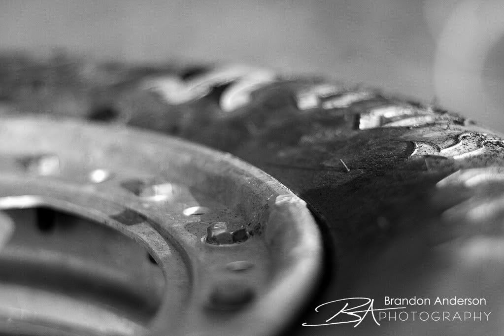 IMAGE: http://i55.photobucket.com/albums/g157/andersonproductions/_MG_9999-20.jpg