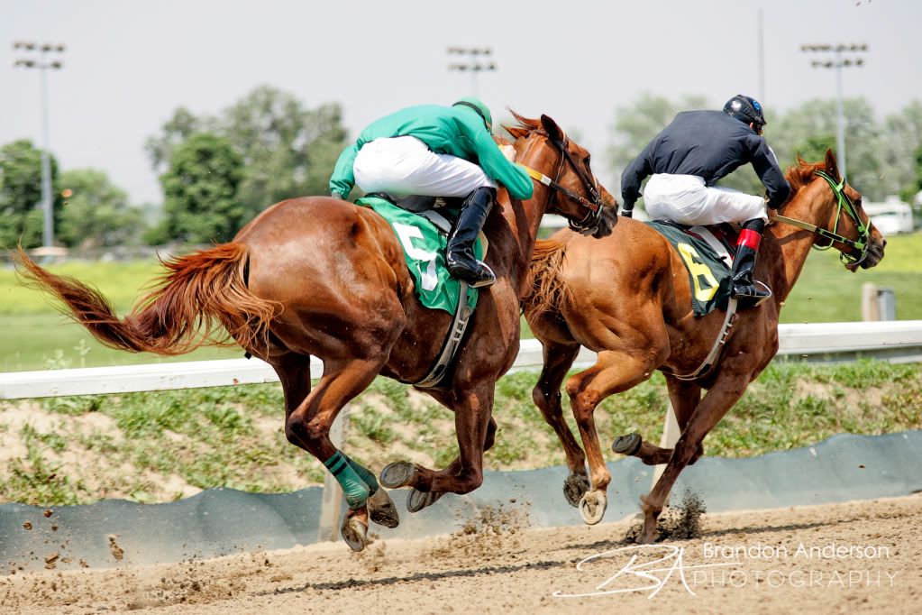 IMAGE: http://i55.photobucket.com/albums/g157/andersonproductions/_N6O1190-5.jpg