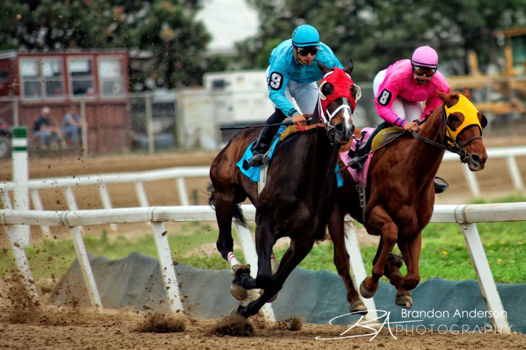 IMAGE: http://i55.photobucket.com/albums/g157/andersonproductions/_N6O1515-20.jpg