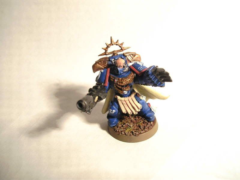 http://i55.photobucket.com/albums/g157/gregadama/warhammer/captain.jpg?t=1262650675