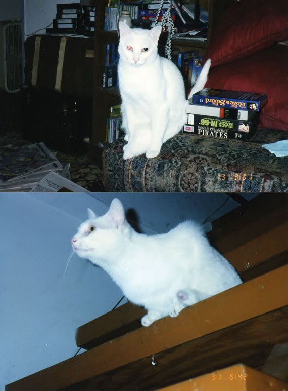 Photo Sharing and Video Hosting at Photobucket