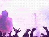 7543543tert.gif