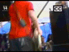 punkrockbunnybillie.gif