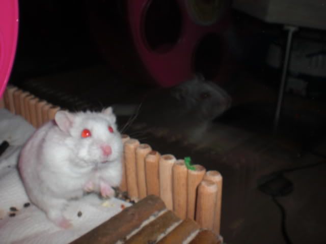 CIMG0830.jpg