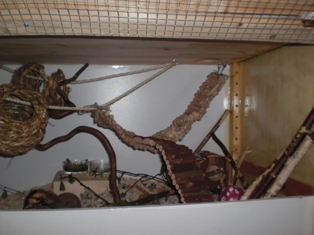 CIMG4816.jpg