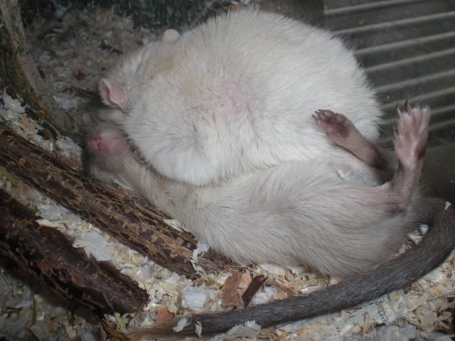 CIMG4841.jpg