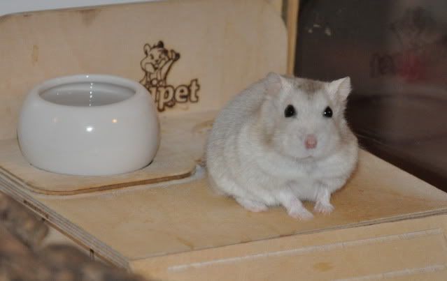 dsc_0356.jpg
