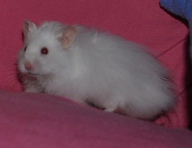 dsc_0443.jpg