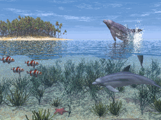 http://i55.photobucket.com/albums/g160/polo_02/Paysages/sealife.gif http://i55.photobucket.com/albums/g160/polo_02/Paysages/sealife.gif