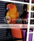 Photo Sharing and Video Hosting at Photobucket