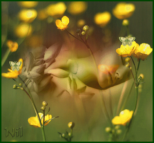 Animation-Nil-070.gif