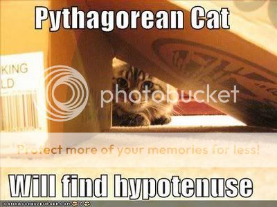 pythagorean cat, posted at lolscience on lj 10-18-12